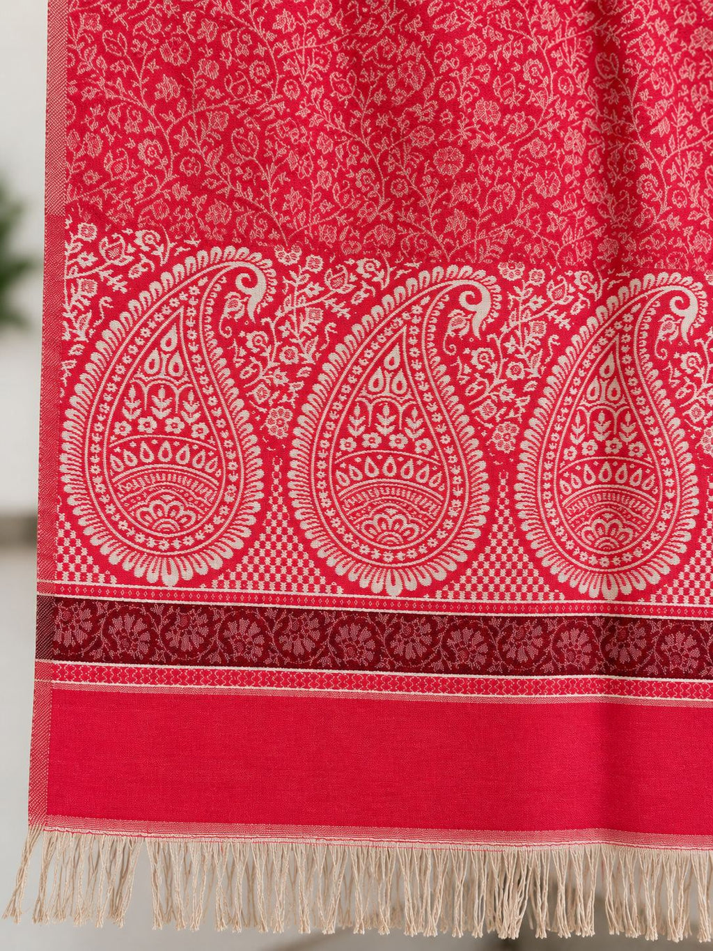 Rani Pink Ivory Paisley Border Wool Shawl with Tassels